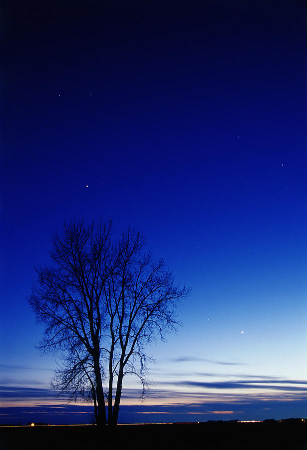 Cottonwood Tree At Night, Dugald Photograph by Mike Grandmailson | Fine ...