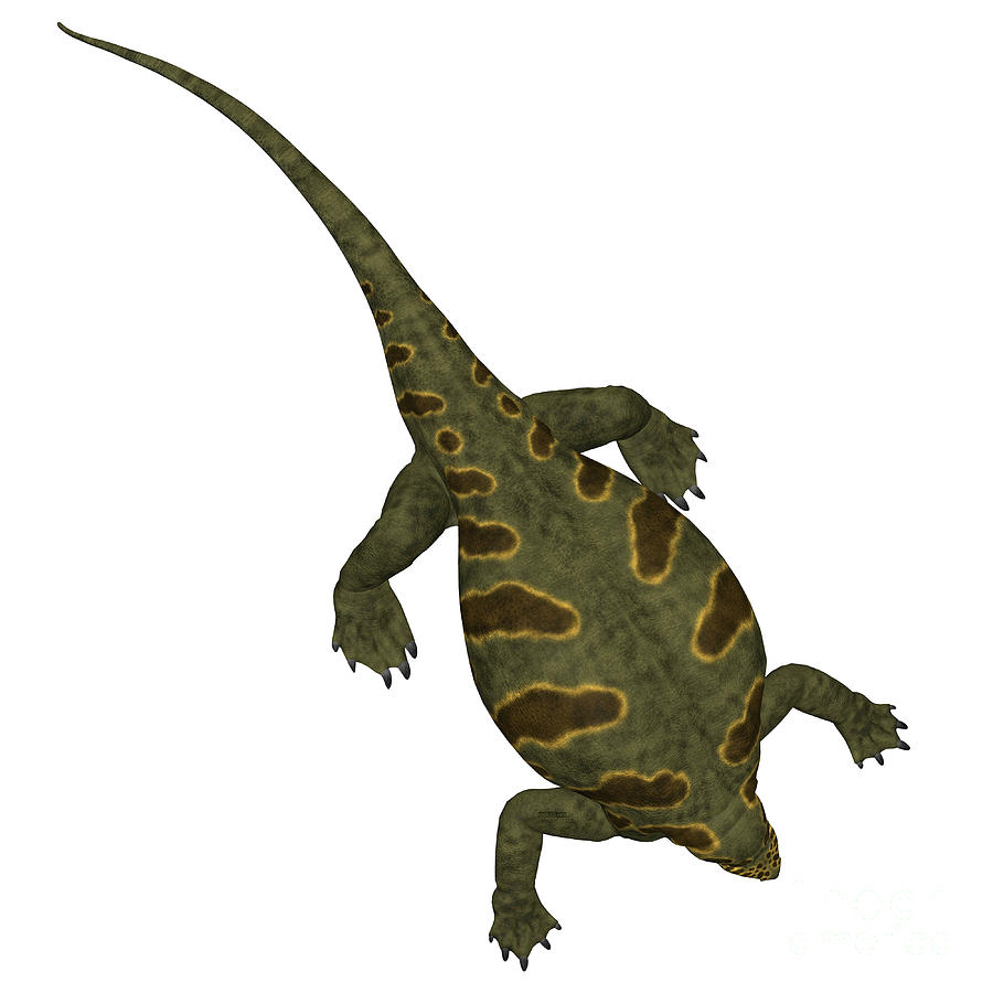 Prehistoric Digital Art - Cotylorhynchus Dinosaur on White by Corey Ford