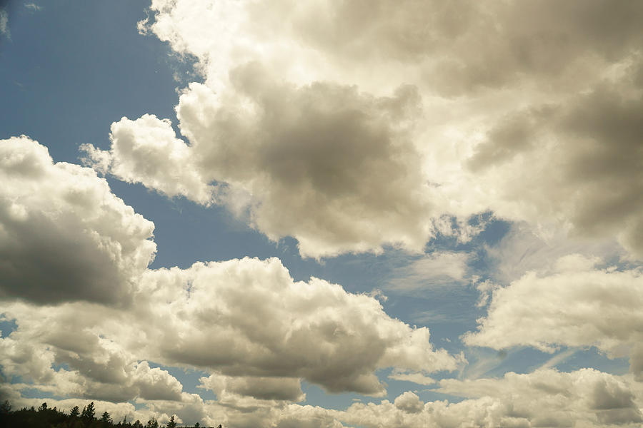 Clouds Above The Treetops Photograph