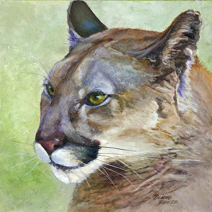 Cougar Painting by Bonnie Rinier