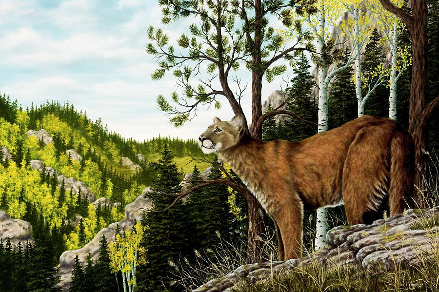 Cougar Country Painting by Rick Bainbridge
