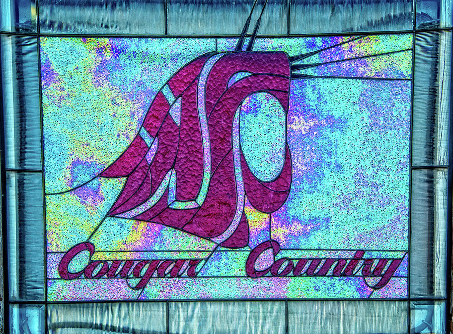 Cougar Country Window Photograph by Ed Broberg