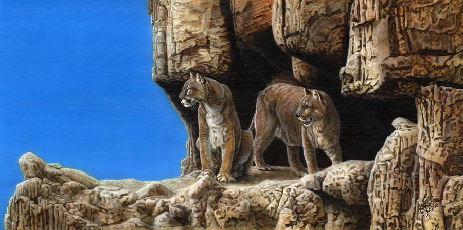 Cougar Couple Painting by Wayne Pruse