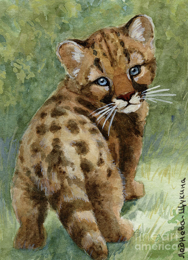 Cougar Cub aceo Painting by Svetlana Ledneva-Schukina