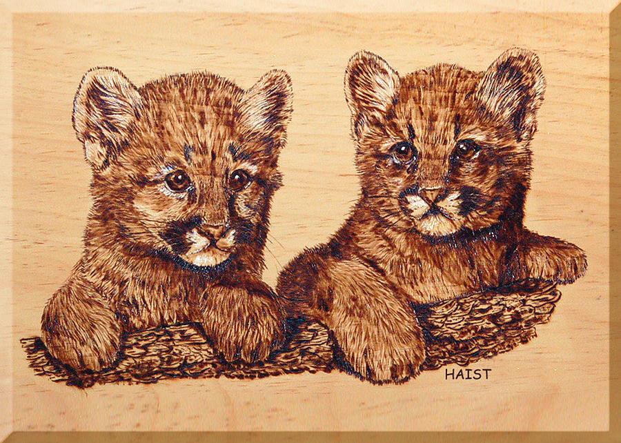 Cougar Cubs Pyrography by Ron Haist
