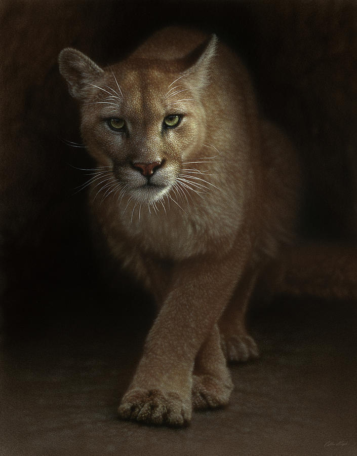 Cougar - Emergence Painting by Collin Bogle