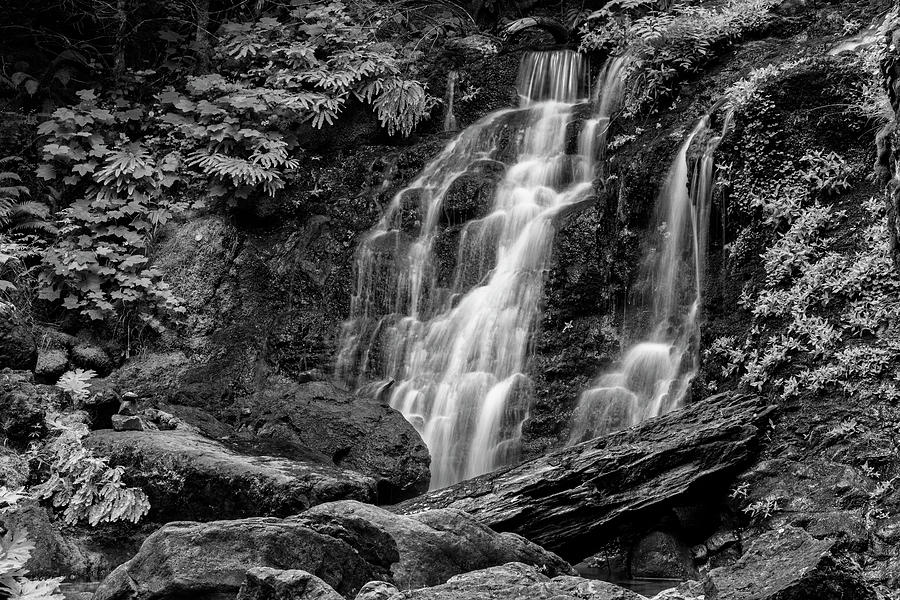 Mount Rainier National Park Photograph - Cougar Falls - Black and White by Stephen Stookey