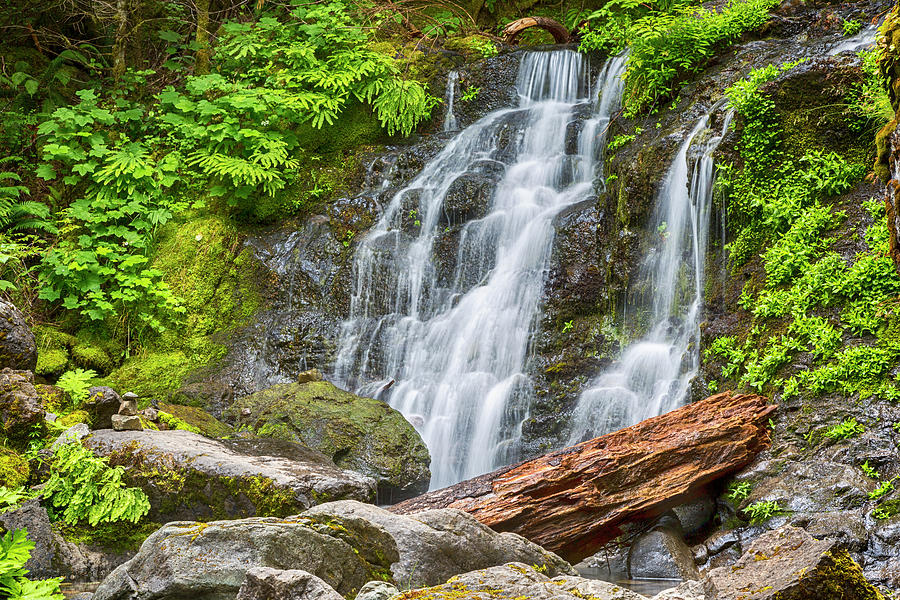 Cougar Falls - Mount Rainier National Park Photograph by Stephen Stookey