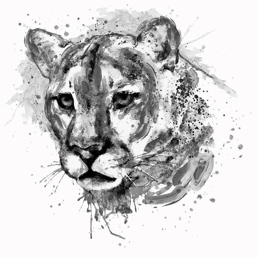 Watercolor Portrait - Black and White Cougar Head Painting by Marian Voicu
