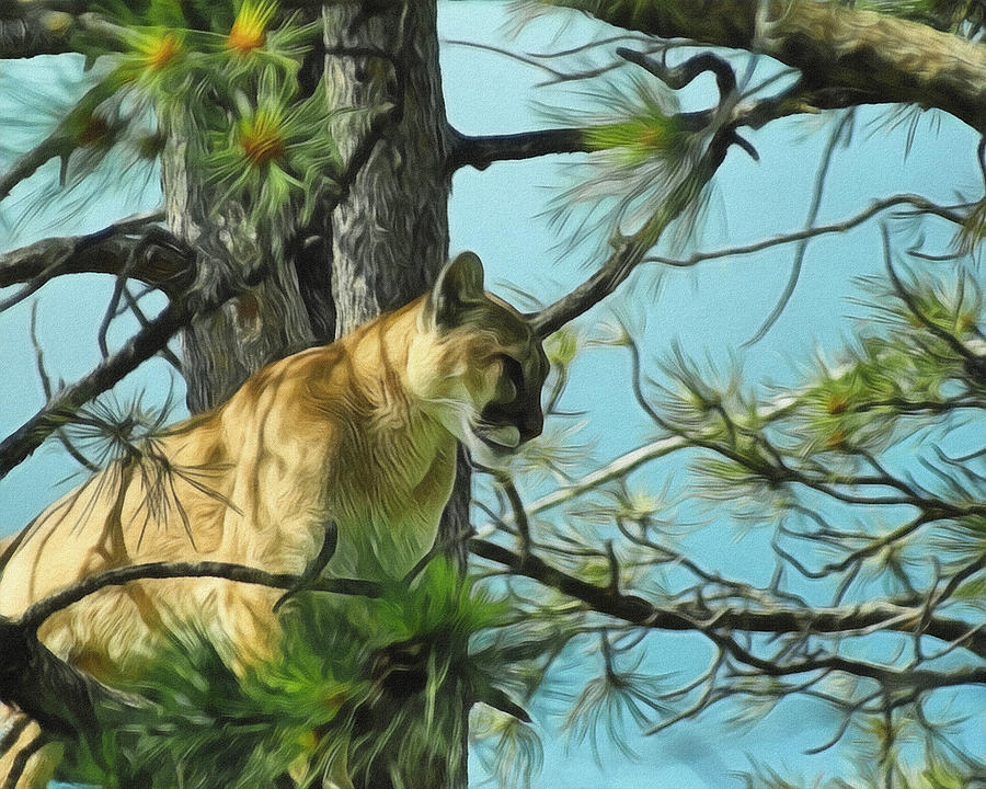Cougar in a Tree 2 Digital Art by Ernest Echols