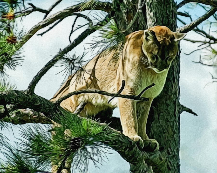Cougar in a Tree Digital Art by Ernest Echols