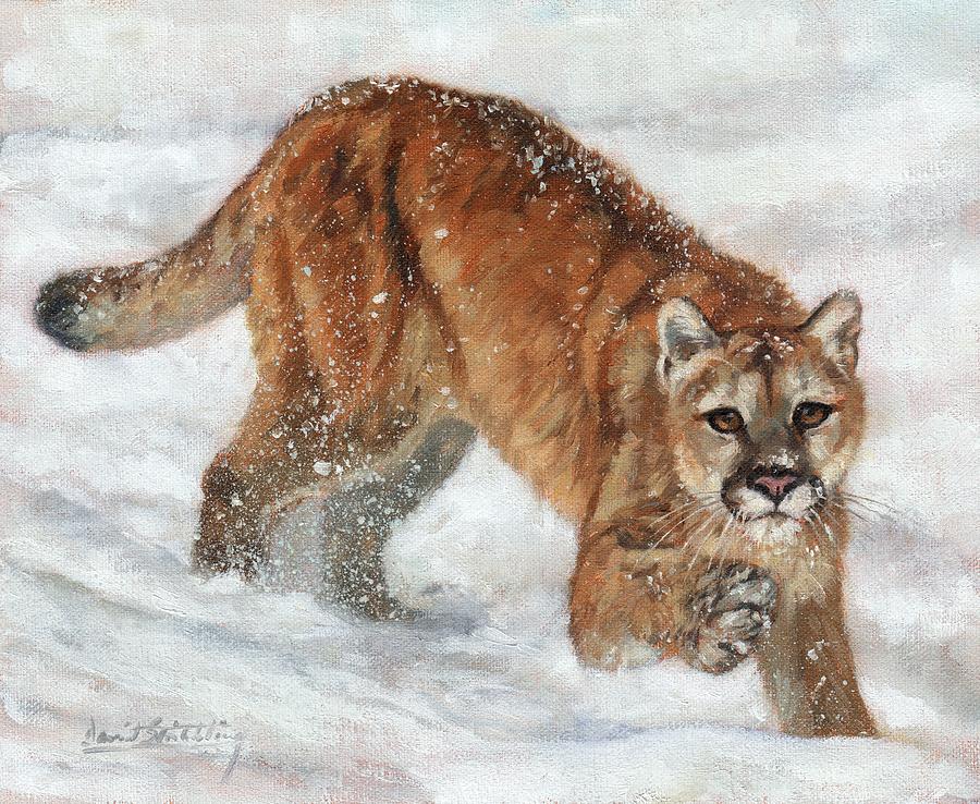 Animal Painting - Cougar In The Snow by David Stribbling