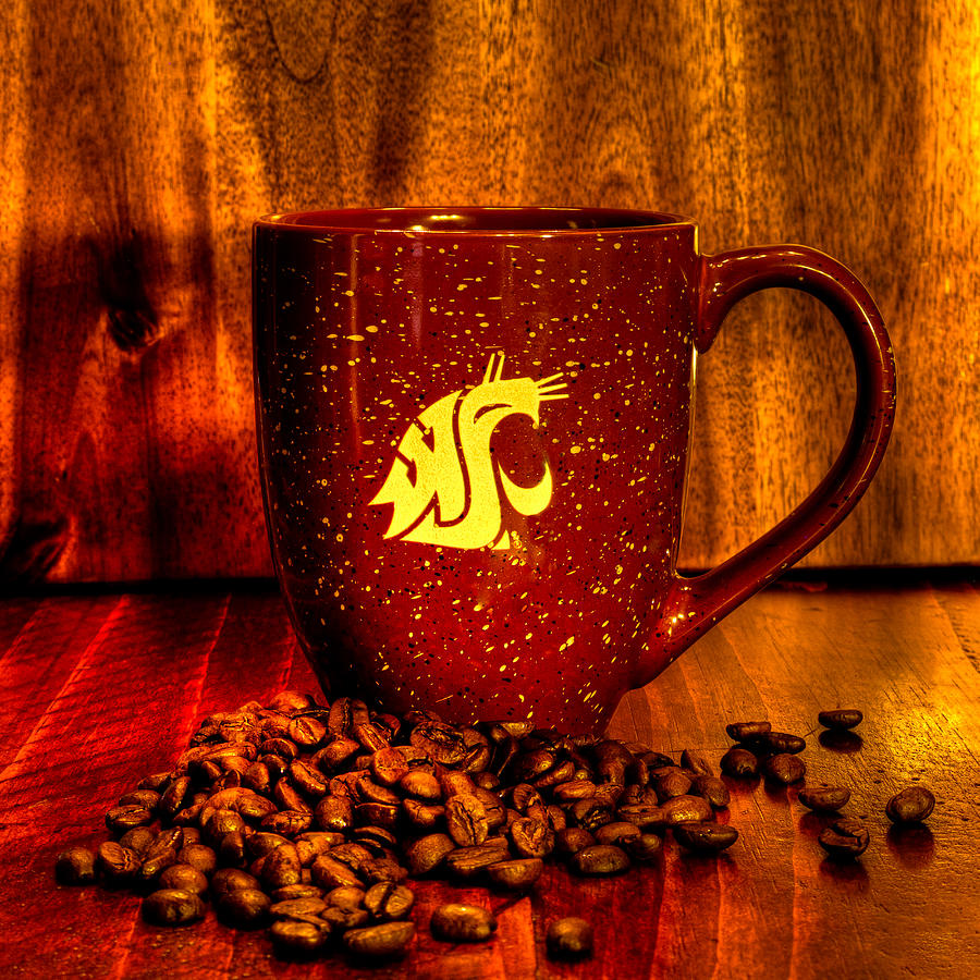 Coffee Bean Photograph - Cougar Infusion by David Patterson