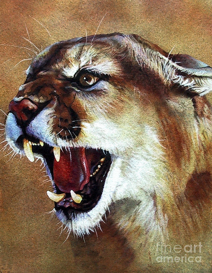 Indigenous Wildlife Painting - Cougar by J W Baker