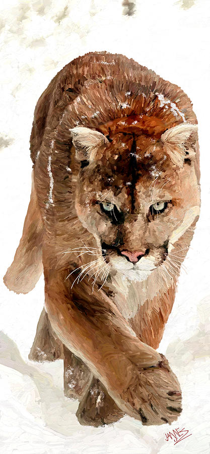 Cougar in the snow Painting by James Shepherd