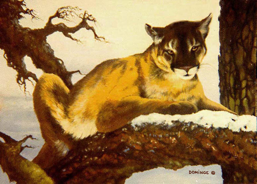 Cougar Painting by John A Dominge - Pixels