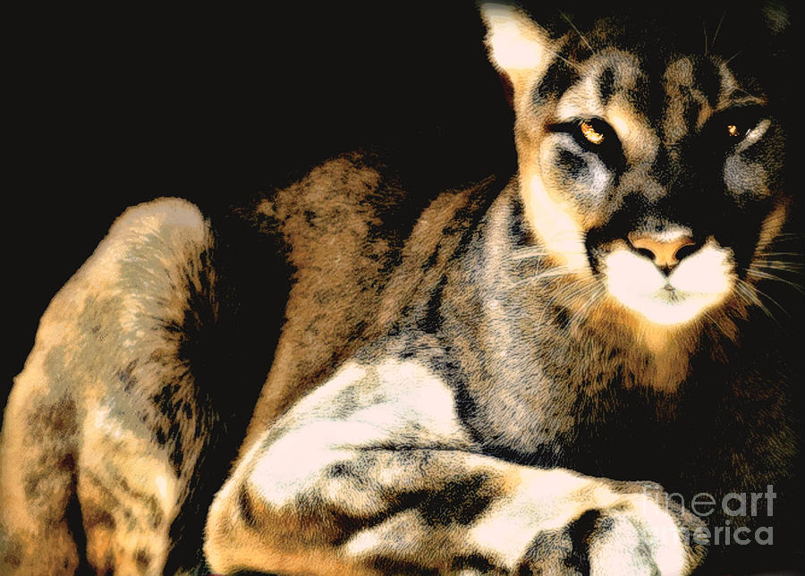 Animal Painting - Cougar Rock by Wbk