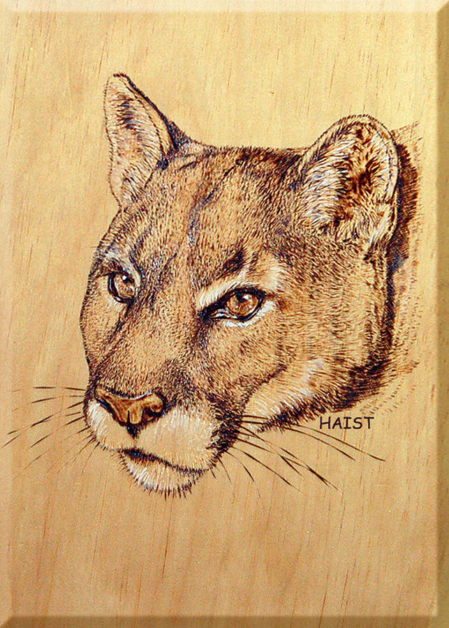 Cougar Pyrography by Ron Haist