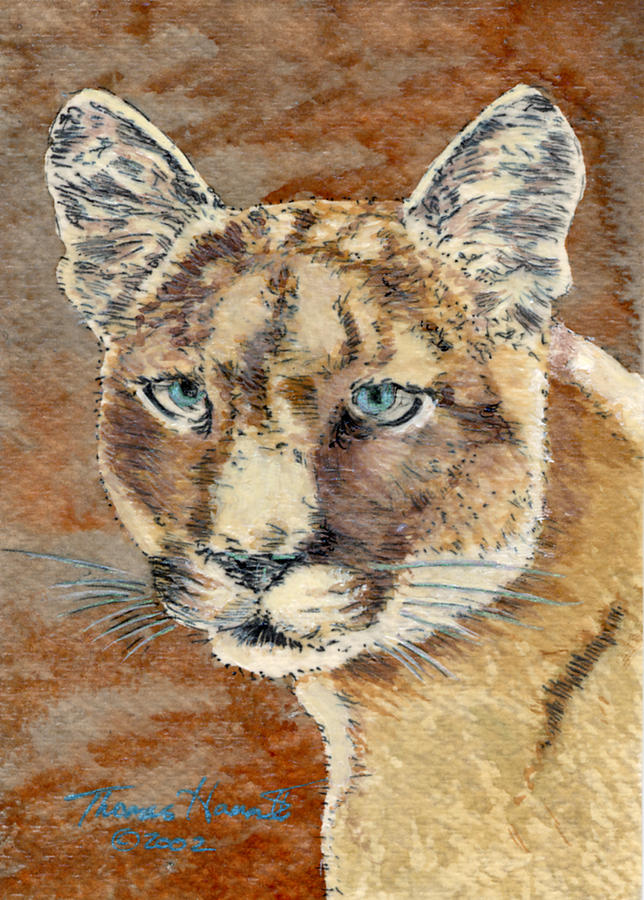 Cougar Painting by Thomas Hamm