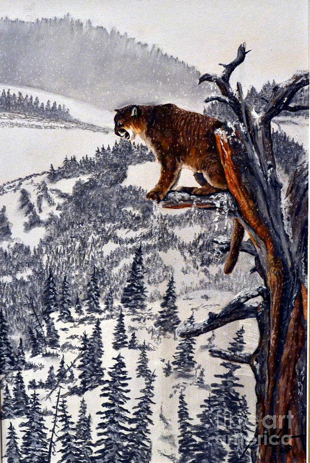 Cougar Watch Pastel by John Huntsman
