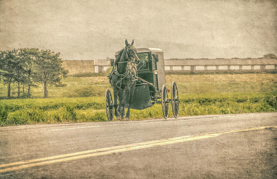 Country Amish Ride  Photograph by Dyle Warren