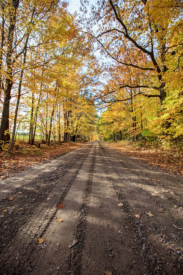 Country Autumn Road  Photograph by John McGraw