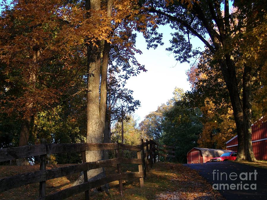 Fall Photograph - Country Autumn by Tammie J Jordan