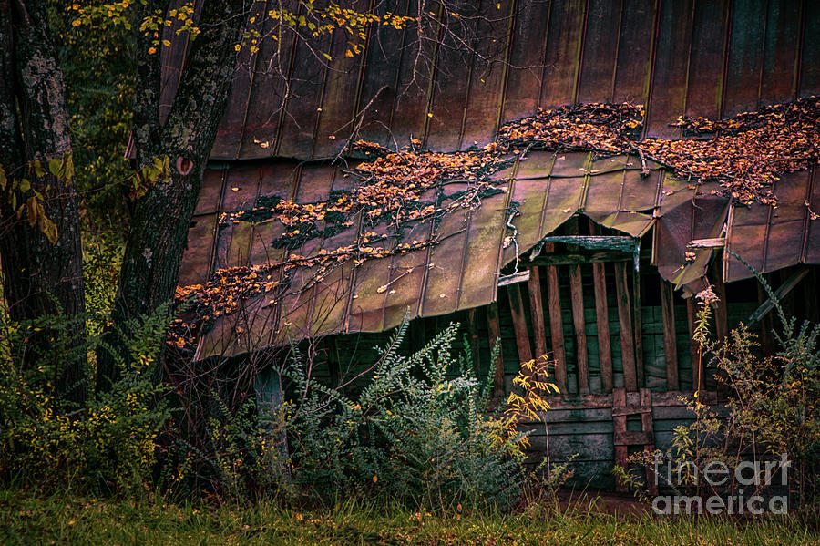 Country Barn Photograph by Doug Sturgess