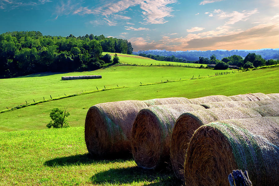 Country Bliss Photograph by Scott Bryan - Fine Art America