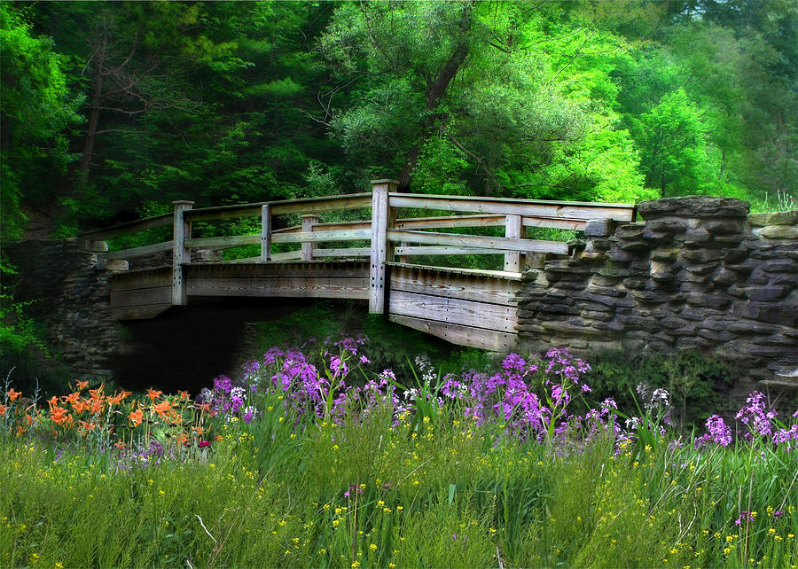Flower Photograph - Country Bridge by Lori Deiter