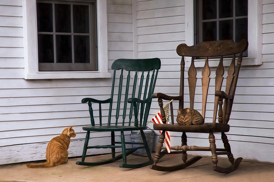 Country Cats Photograph by Robin-Lee Vieira