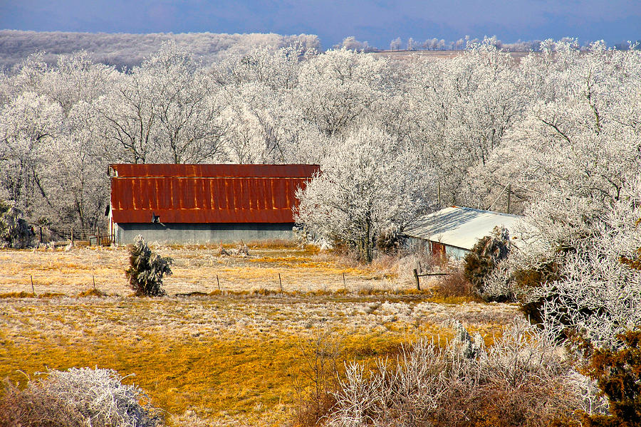 Winter Photograph - Country Charm  by Carolyn Wright