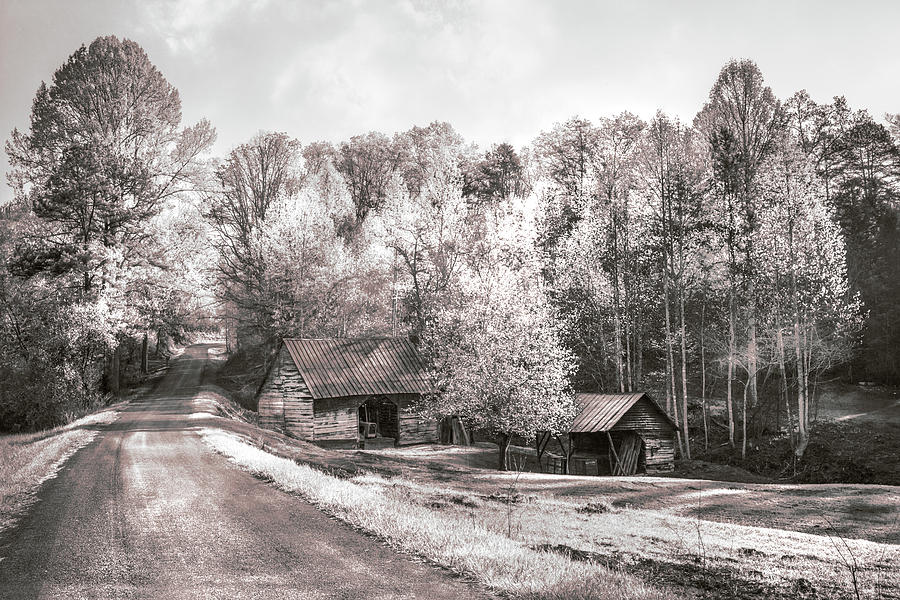 Country Charm in Sepia Photograph by Debra and Dave Vanderlaan