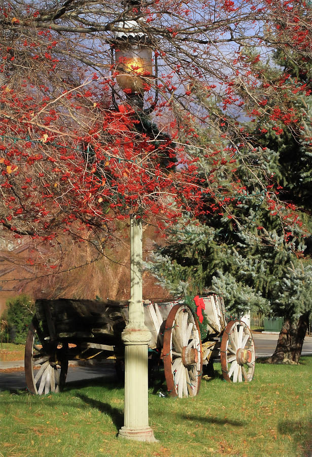 Christmas Photograph - Country Christmas by Donna Kennedy