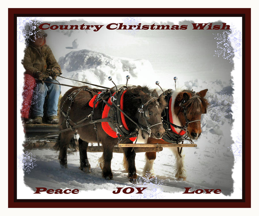 Country Christmas Wish Photograph by Sandra Huston
