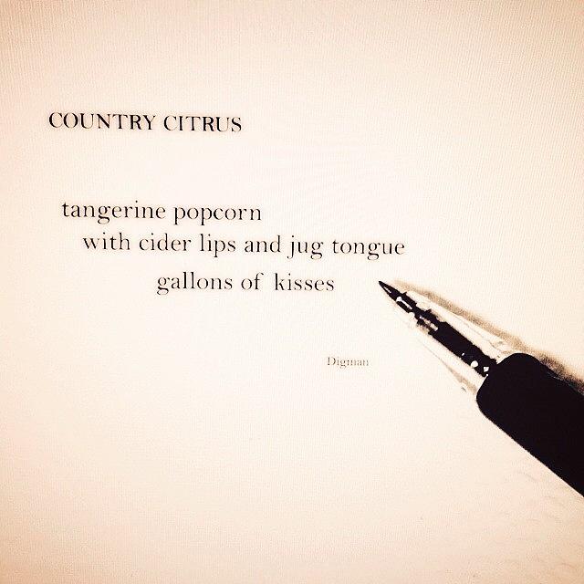 Haiku Photograph - Country Citrus  by Steven Digman