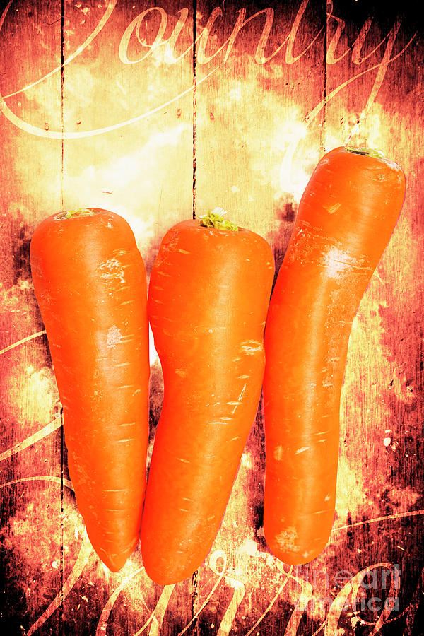 Carrot Photograph - Country cooking poster by Jorgo Photography