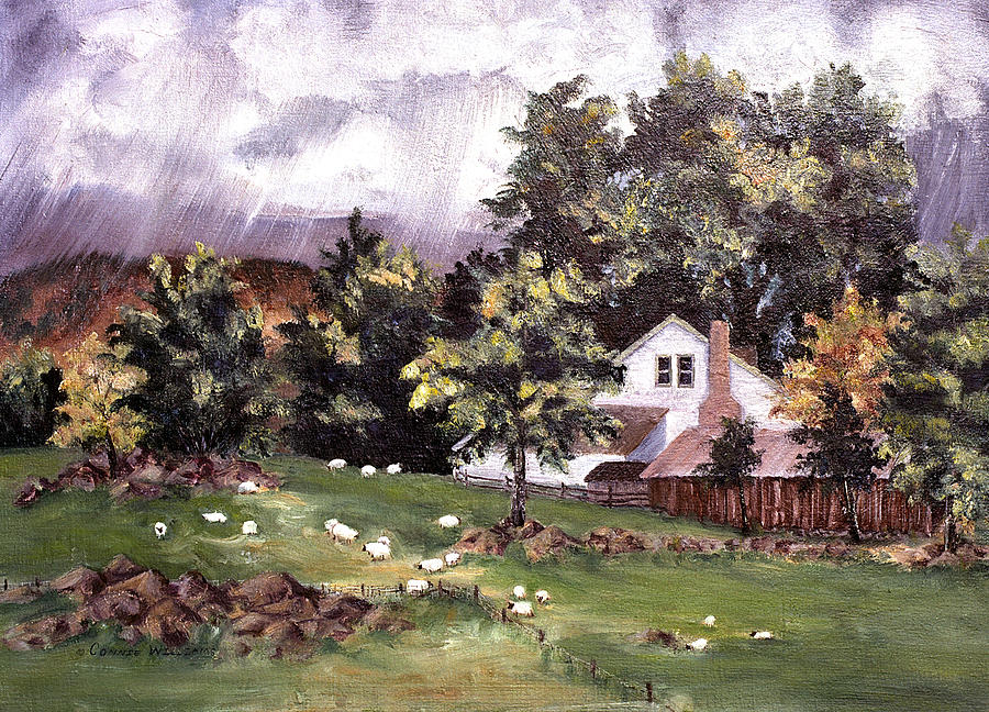 Country Cottage Painting by Connie Williams