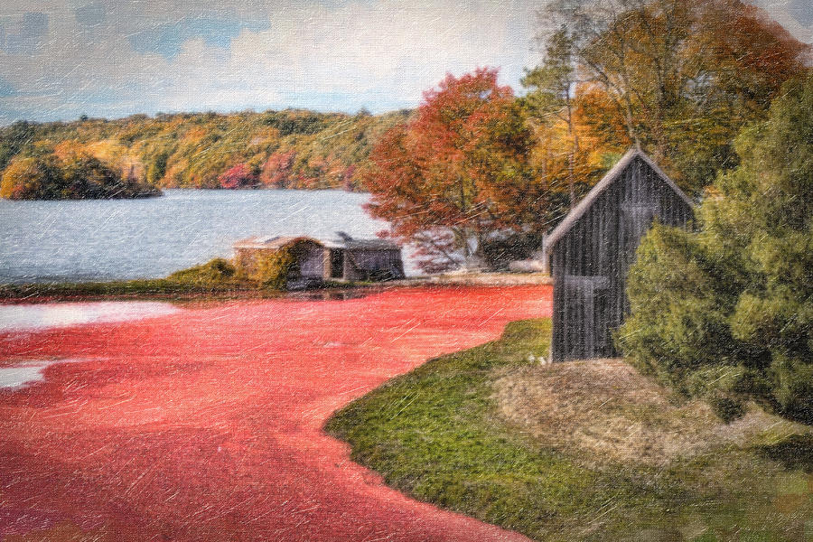 Fall Photograph - Country Cranberry Farm by Gina Cormier