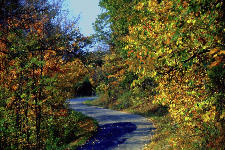 Country Drive Photograph by Gary Wonning - Fine Art America