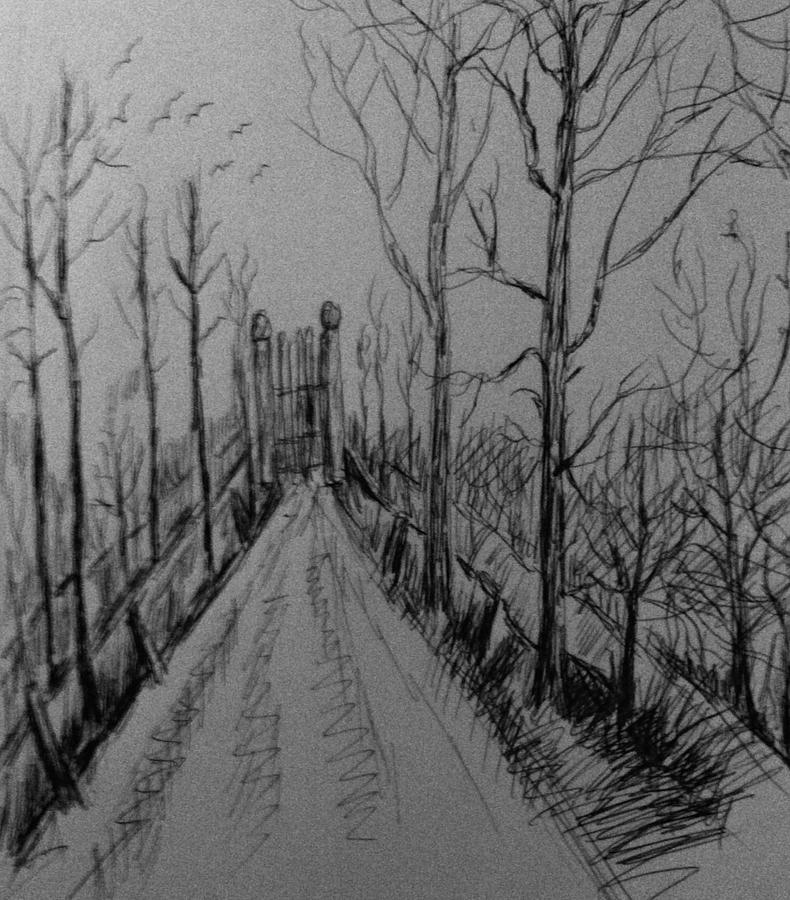 Country driveway Drawing by Hae Kim