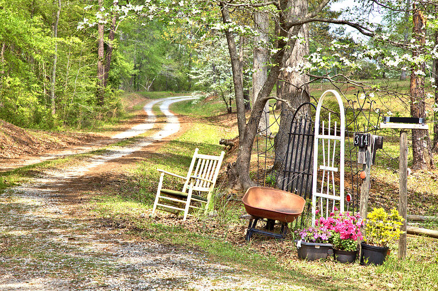 Country Driveway in Springtime Photograph by Gordon Elwell