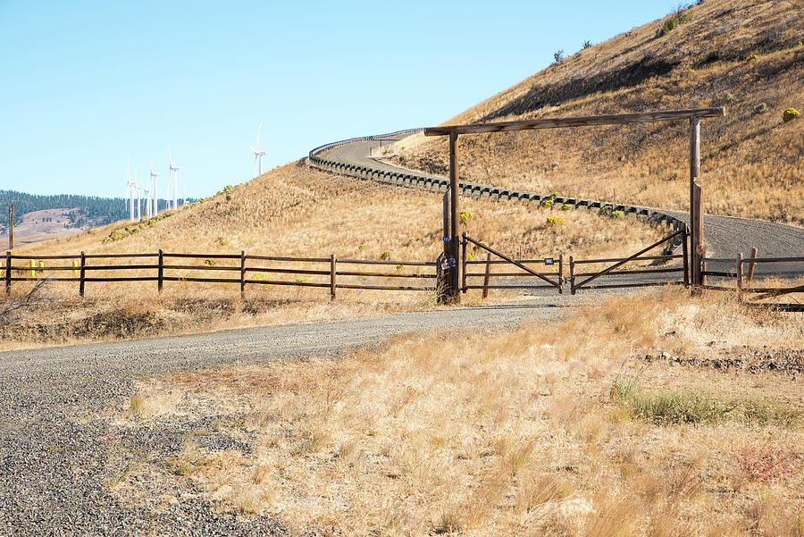 Country Driveway in Kittitas County Photograph by Tom Cochran