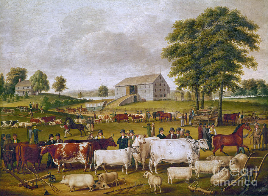 Sheep Photograph - COUNTRY FAIR, 1824. For Licensing Requests Visit Granger.com by Granger