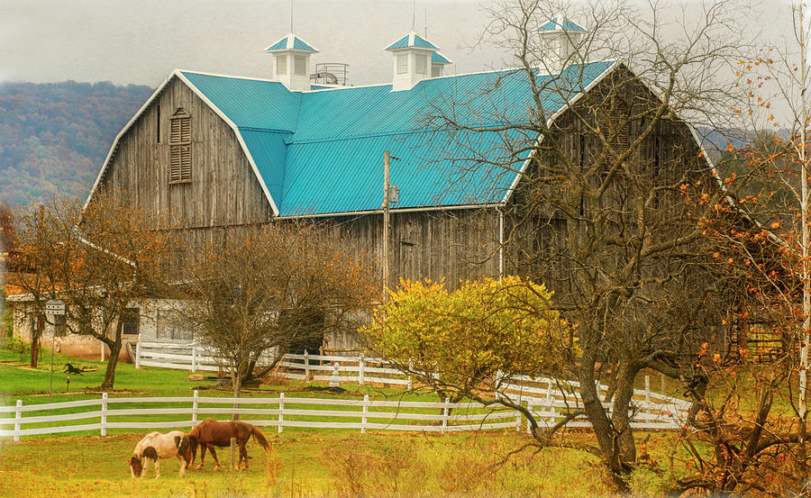 Country Fall Barn Photograph By Bernadette Chiaramonte