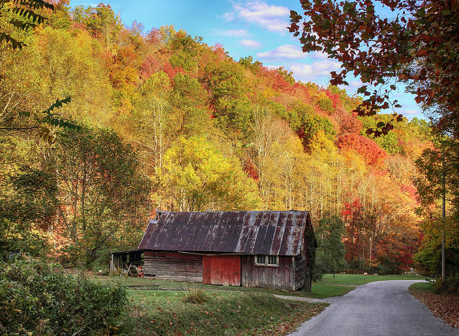 Country Fall Photograph by Lorraine Baum