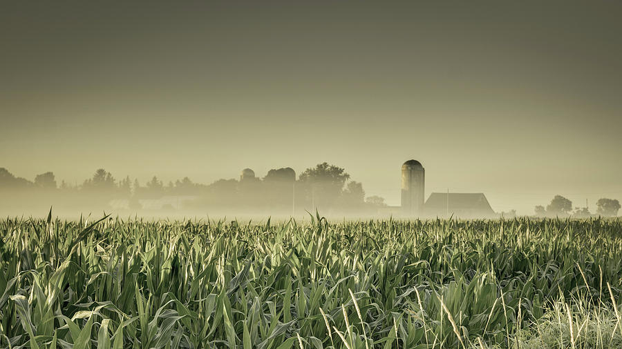Country farm landscape Photograph by Nick Mares