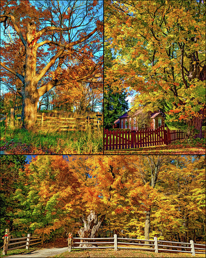 Country Fences Collage - Paint Photograph by Steve Harrington