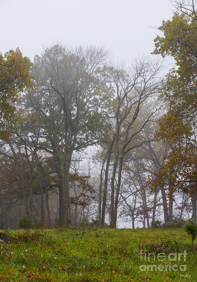 Country Foggy Fall Morning Photograph by Jennifer White