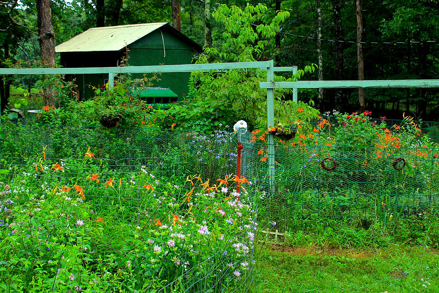 Spring Photograph - Country Garden by Carolyn Wright